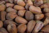 Često izbegavamo ovaj orašasti plod, a može sprečiti srčane bolesti