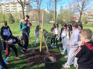 Četvrtaci niške škole zasadili drvo u parku Čair