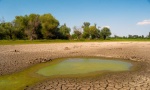 Četvrtina svetske populacije u opasnosti da ostane bez vode
