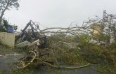 Ciklon napravio haos – Sprečena katastrofa