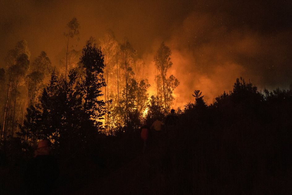 Čile: Najmanje 24 osobe poginule u šumskom požaru, zahvaćeno 300.000 hektara