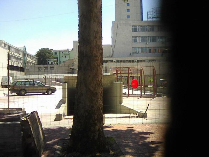 Čitalac upozorava - zbog garaže hotela u Nišu iseći će drvo staro 50 godina