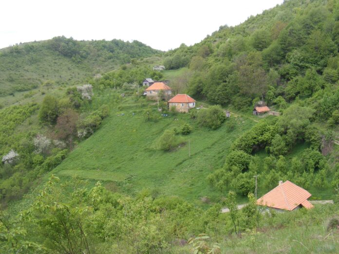 Čovek leži u bolnici u Nišu, sve institucije ćute danima – pokušaj ubistva kod Leposavića i sumnje u zataškavanje slučaja