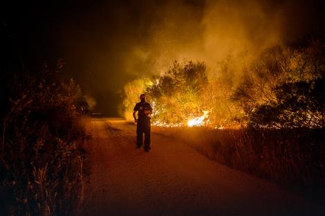 Crna Gora: Svi požari pod kontrolom