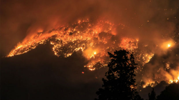 Crna Gora, poljskom turisti 30 dana pritvora zbog podmetanja požara