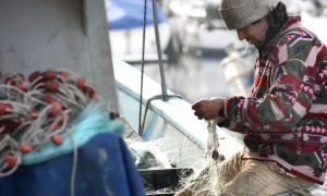 Crnogorski ribari upecali retku ribu, predali je Institutu za biologiju (FOTO)