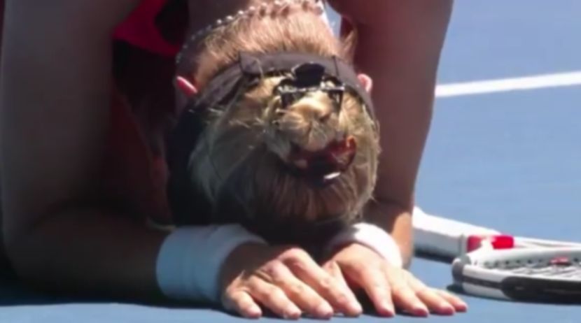 Croatian in victory tears: She survived the worst family violence, and now she is playing Serena Williams for the finals! (VIDEO)