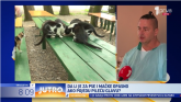 Čudan prizor na Vračaru: Gomila pilećih glava i uginula mačka na ulici VIDEO
