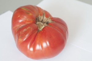 Čudo – jedan paradajz težak kilogram