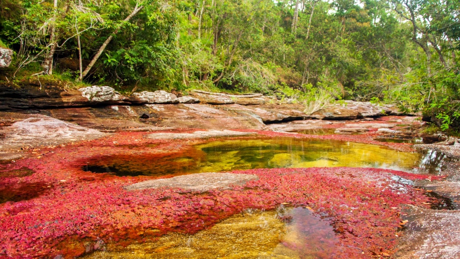 Čudo prirode: Reka koja menja boje (VIDEO)