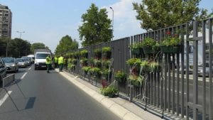 Cveće na razdelnoj ogradi beogradskog bulevara protiv buke i zagađenja