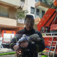 DIRLJIVA SCENA TOKOM POŽARA NA DORĆOLU: Vatrogasac-heroj izvukao nepomoćno kuče iz plamena (FOTO) 