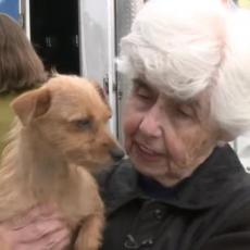DIRLJIVO: Divni ljudi, čista srca, spasili su pse sigurne SMRTI! (VIDEO)