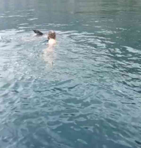 DIVNI SNIMCI IZ BOKE KOTORSKE: Delfin pratio brod 45 minuta, pa se na kraju igrao sa svima (VIDEO)