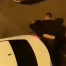 DOLIJAO! Policija uhapsila napadača koji je BRUTALNO prebio taksistu kod Kalenić pijace (VIDEO)