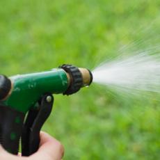 DRAKONSKE KAZNE ZA ZALIVANJE TRAVE: Više se nećete usuditi da trošite vodu za baštu 