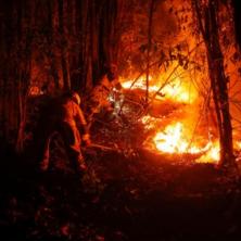 DRAMA NA JUGU SRBIJE: Buknula ogromna vatra kod Leskovca (FOTO)