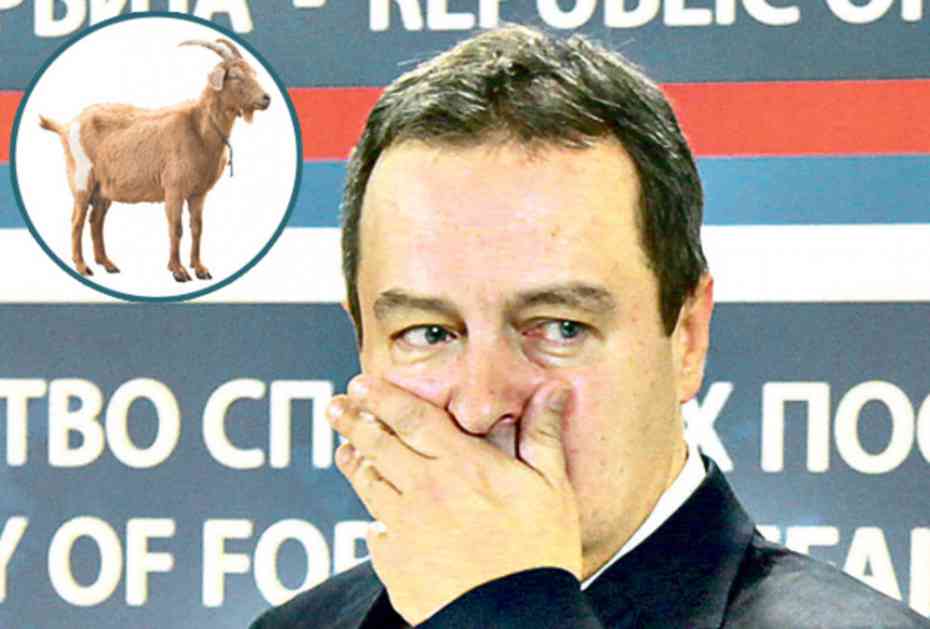 DRAMA U AFRICI: Ivica Dačić pojeo kozji gulaš pa se otrovao! Završio na infuziji! ČITAJTE U KURIRU