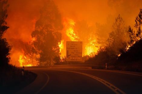 DRAMA U PORTUGALU Bukti veliki šumski požar, 57 ljudi IZGORELO u svojim automobilima