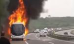 DRAMATIČAN SNIMAK ZAPALjENOG VOZILA: Vatra progutala autobus na autoputu Beograd - Niš