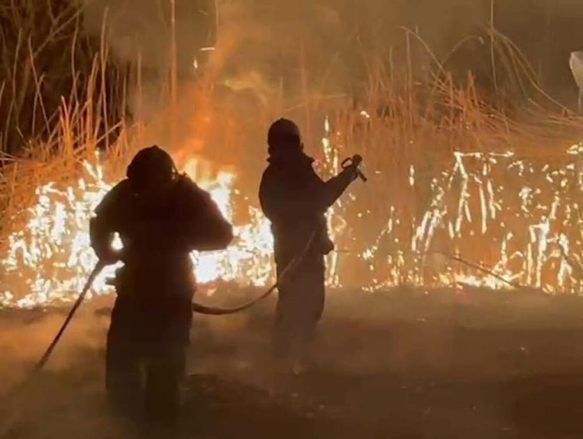DRAMATIČNE SLIKE STRAŠNOG POŽARA U FUTOGU! Borba sa vatrenom stihijom traje SATIMA: Požar zahvatio rastinje i ribnjak! VIDEO, FOTO