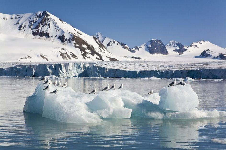 DRŽAVNI PROJEKAT: Rusija počela polaganje prvog podvodnog optičkog kabla kroz Arktik