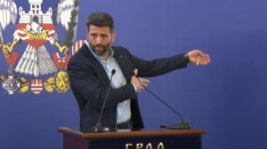 Da li Šapić pravi partijsku policiju?