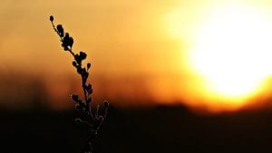 Da li Sunce ima ulogu u klimatskim promenama?