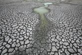 Da li će klimatska kriza postati kriza hrane?