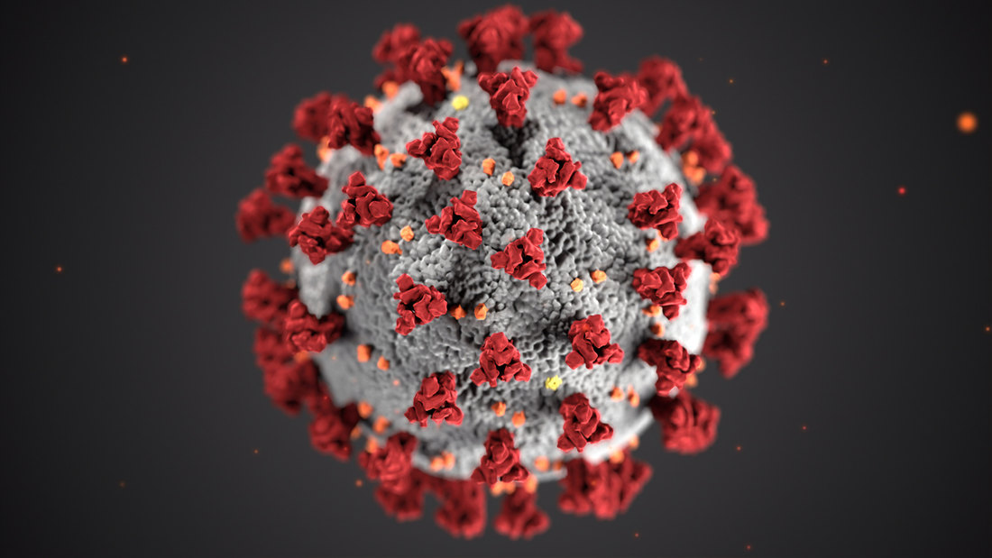 Da li korona mutira: Virus iz Vuhana nije isti kao trenutni