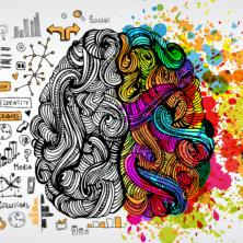 Da li ste kreativci ili se vodite logikom: Saznajte koja je dominantna strana VAŠEG MOZGA:  (TEST)