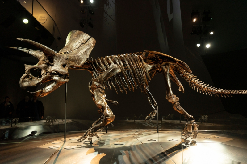 Da nije bilo asteroida dinosaurusi bi još bili tu