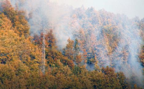 Dalekovod zapalio šumu, vatrogasci iz Čajetine brane selo od požara