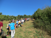 Dan pešačenja: Srbija hoda - Vranje hoda