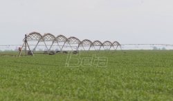 Dan polja šećerne repe na poljima PIK-Bečeja