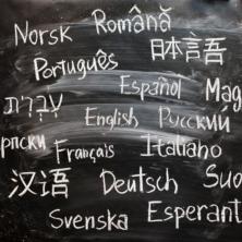 Danas, 21. februara, obeležavamo Međunarodni dan maternjeg jezika - neizrecivo važan za svaki narod