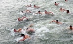 Danas je Bogojavljenje: Širom Srbije pliva se za časni krst