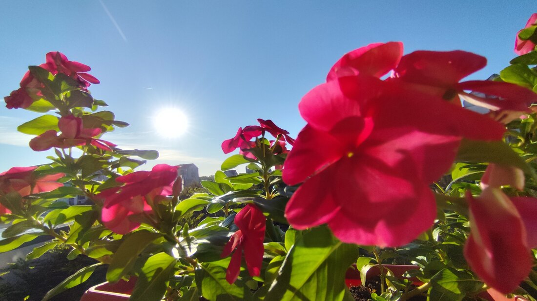 Danas sunčano i malo toplije, do 29 stepeni