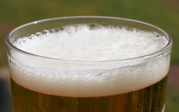 
					Dani piva u Zrenjaninu od 28. avgusta do 3. septembra 
					
									
