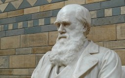 
					Darvinove beležnice nestale iz Kembridžove biblioteke 
					
									