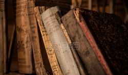 Darvinove beležnice nestale iz Kembridžove biblioteke
