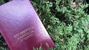 Dekani Univerziteta u Novom Sadu uputili apel studentima za nastavu