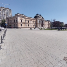Demanti na tekst o sadnicama javora na Trgu vojvode Radomira Putnika