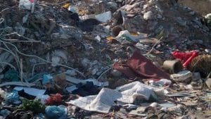 Deponija kod borskih obdaništa očišćena dva sata nakon objave u medijima