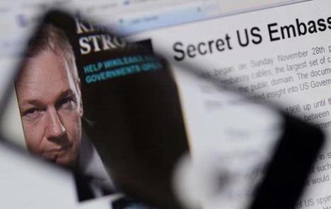 Deset godina poslije, WikiLeaks na udaru kritika