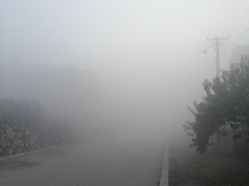 Dim od požara guši Belopalančane, problem i za vozače na auto-putu
