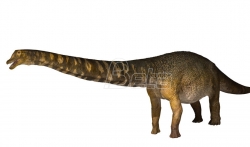 Dinosaurus pronadjen u Australiji identifikovan kao primerak nove vrste (VIDEO)