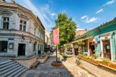 Diže se spomenik velikanu srpske narodne muzike u Skadarliji?