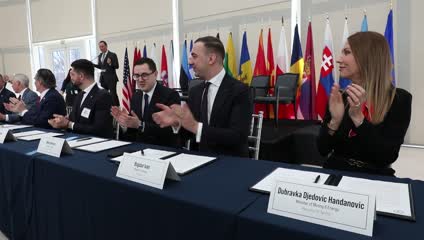 Đedović Handanović na Transatlantskom samitu o gasnoj bezbednosti u Vašingtonu