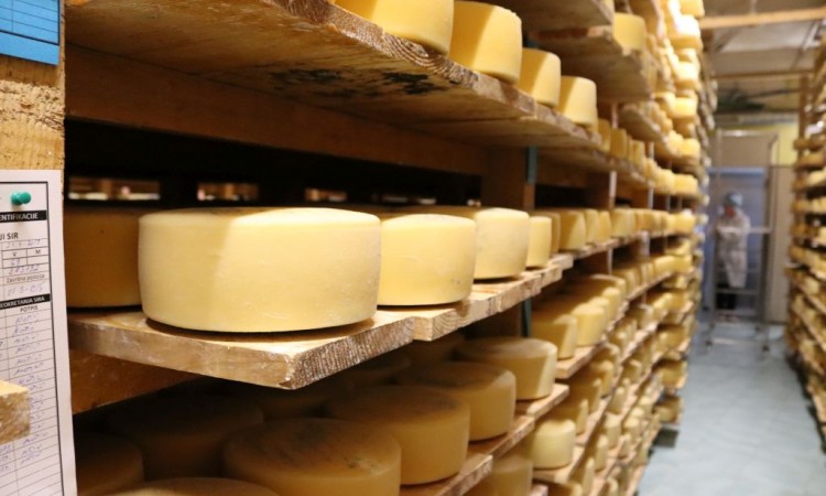Dnevno pojedemo 34 tone uvoznog sira